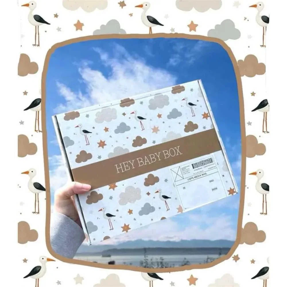 First Rodeo Baby Gift – Hold Your Horses