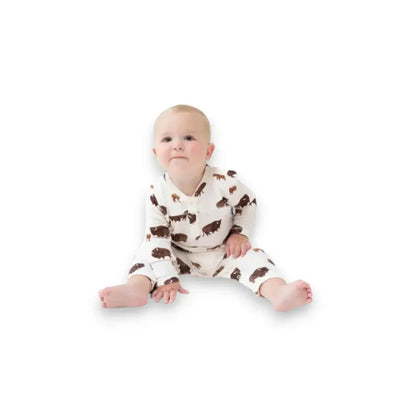 Bison Baby Gift Box – National Parks Baby Shower, Neutral