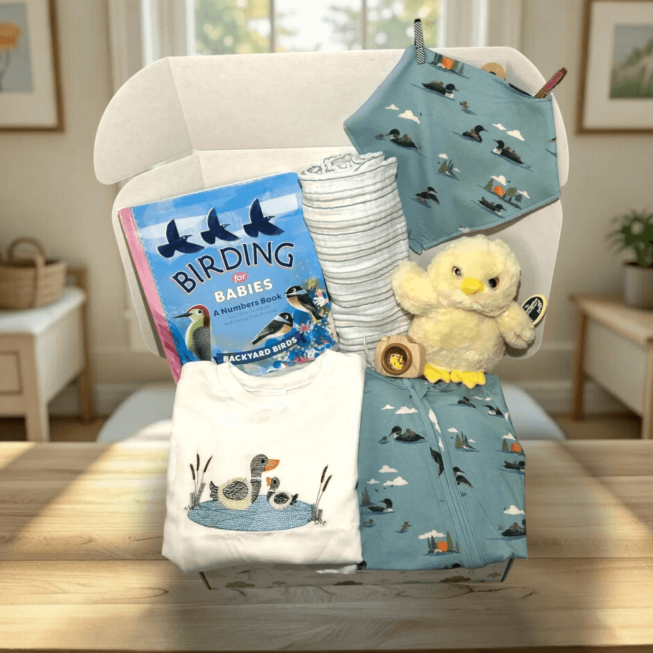 Baby gift set with books, blankets, and toys on a table in a room.