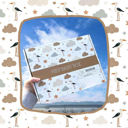 Taylor Inspired Baby Gift – Swiftie Newborn Gift Box 2025