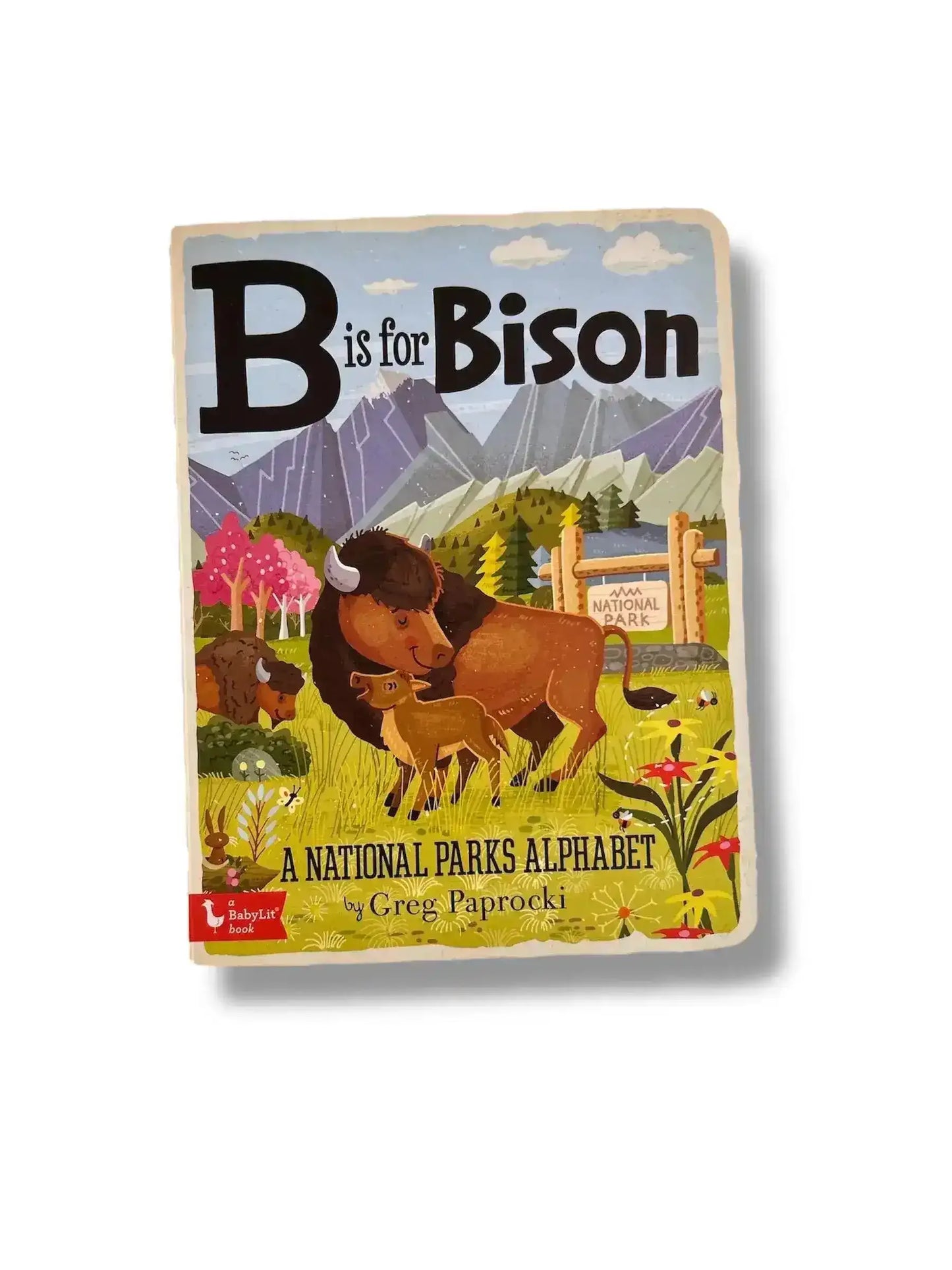 Park Ranger Baby Gift - National Park Bear Theme 3-6