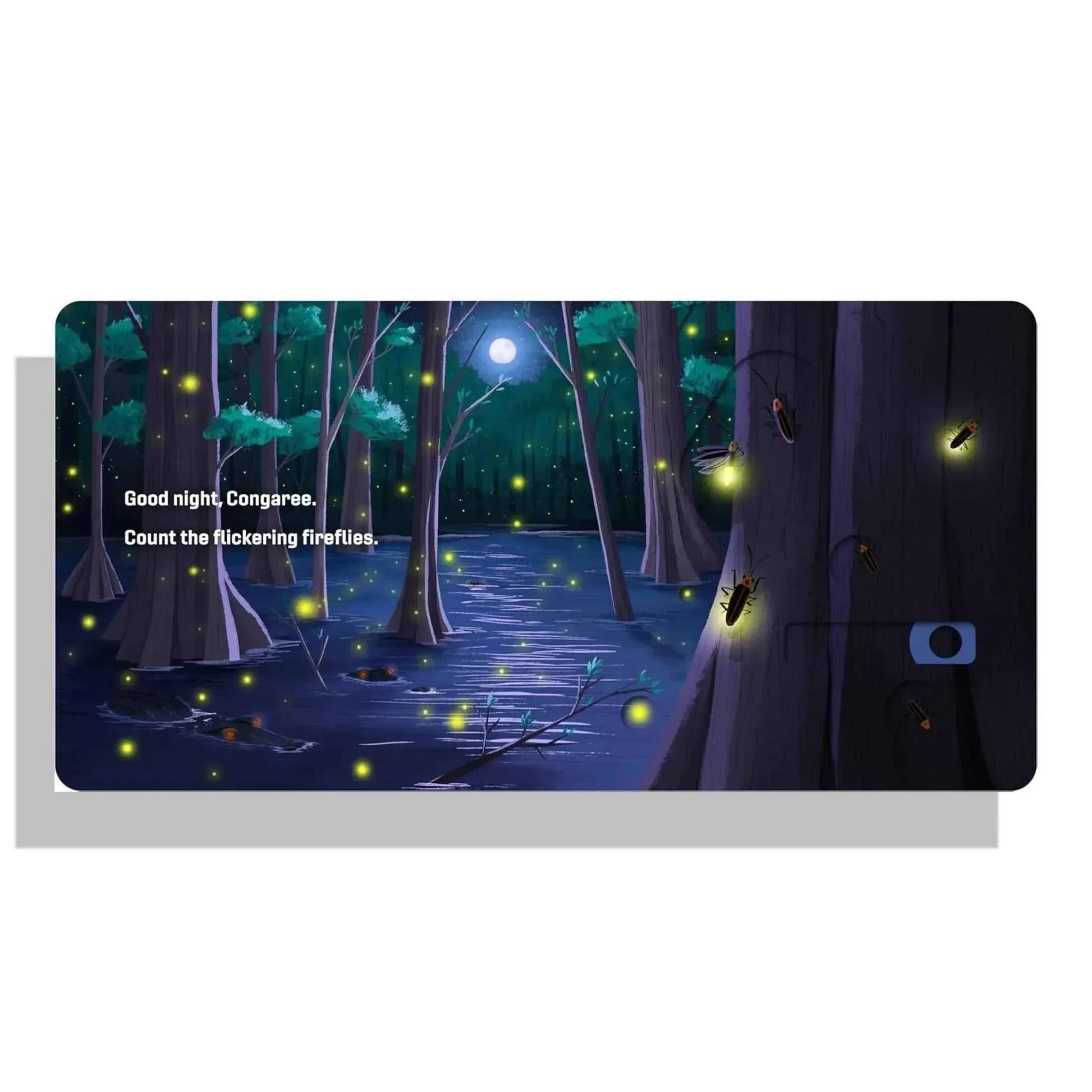 Bear National Parks Baby Gift Set – Woodland Newborn Gift